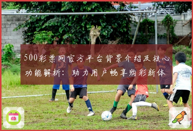 500彩票网官方平台背景介绍及核心功能解析:助力用户畅享购彩新体验